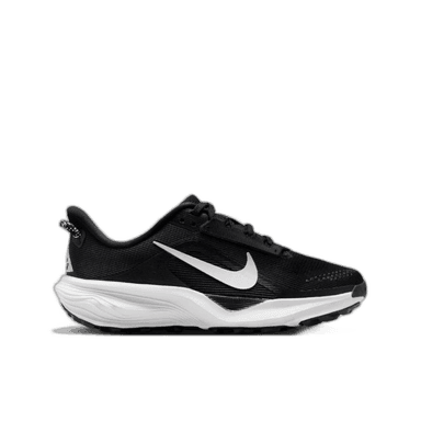 Nike ACG Pegasus Trail - black summit white anthracite