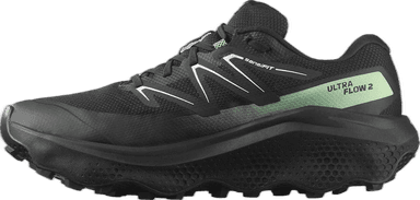Salomon Ultra Flow 2 GORE-TEX - black black patina green