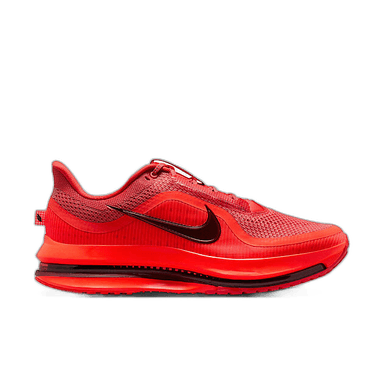 Nike Pegasus Premium - ukjent