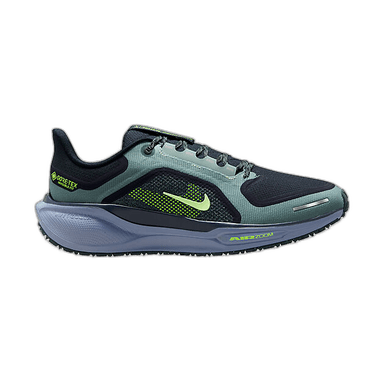 Nike Pegasus 41 GORE-TEX - ukjent