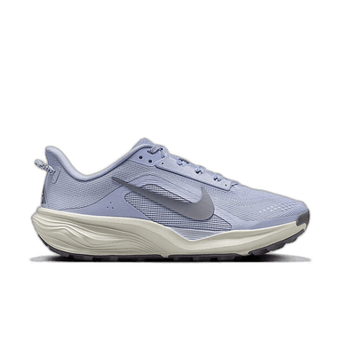Nike ACG Pegasus Trail - ghost cement grey-mineral slate