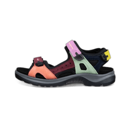 multicolored