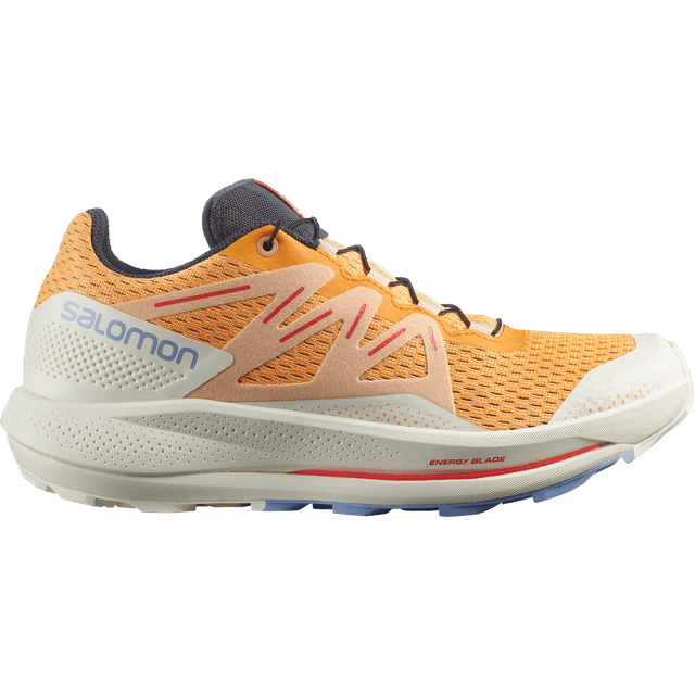Mizuno Wave Rider 30 Disclosure