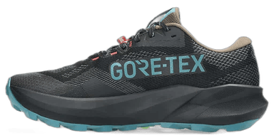 Asics TRABUCO 14 GORE-TEX - black misty pine
