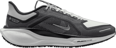 Nike Pegasus 41 GORE-TEX - black summit white anthracite iron grey
