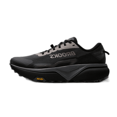 Brooks Cascadia 20 GORE-TEX - black