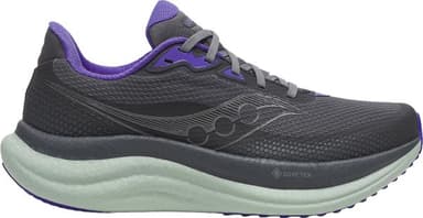 Saucony Löparskor Triumph 23 GORE-TEX