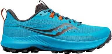 Saucony Polkujuoksukengät Peregrine 13