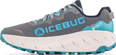Icebug Arcus 2 RB9X Gore-Tex Men - mistblue