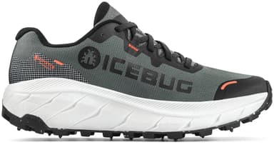 Icebug Arcus 2 Bugrip Gore-Tex Women - grey