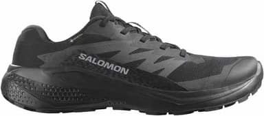 Salomon Alphaglide GORE-TEX Men - black asphalt black