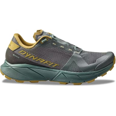 Dynafit Ultra 100 GORE-TEX Men - lichen atlantic