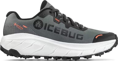 Icebug Arcus 2 Bugrip Gore-Tex Men - grey