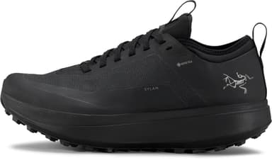 Arc'teryx Sylan Gore-Tex Men - black black