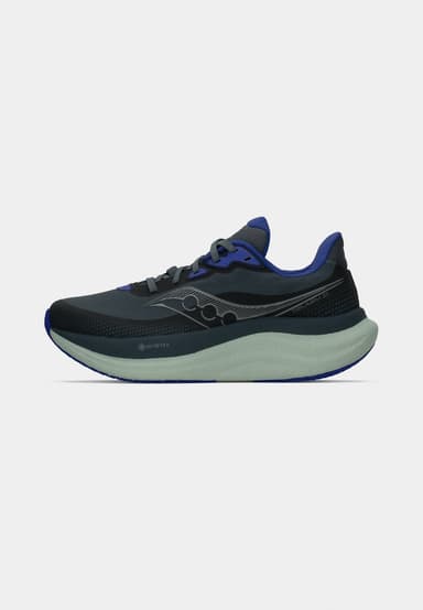 Saucony Triumph 23 GTX Women - shadow aloe