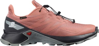Salomon SUPERCROSS BLAST GORE-TEX - brick dust ebony quarry